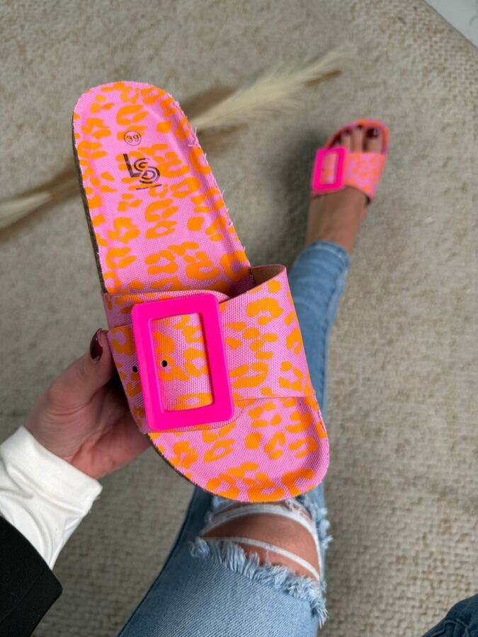 Clasp Print Slides